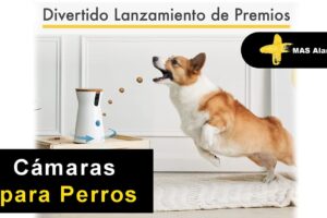 Cámaras para perros Furbo. Guía completa de compra, montaje y características